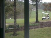 click refresh if no pic