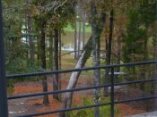 click refresh if no pic