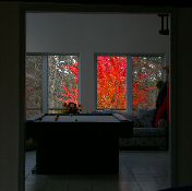 click refresh if no pic