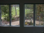 click refresh if no pic